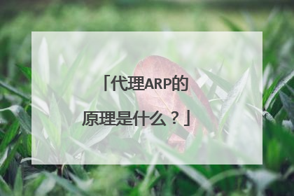 代理ARP的原理是什么？