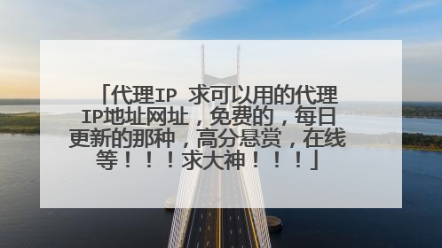 代理IP 求可以用的代理IP地址网址，免费的，每日更新的那种，高分悬赏，在线等！！！求大神！！！