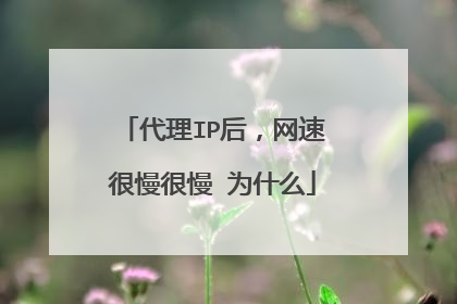 代理IP后，网速很慢很慢 为什么