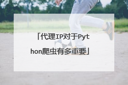 代理IP对于Python爬虫有多重要