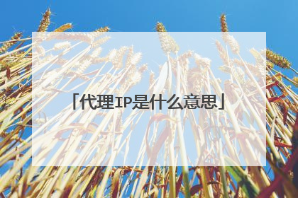 代理IP是什么意思