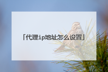 代理ip地址怎么设置