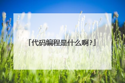 代码编程是什么啊?