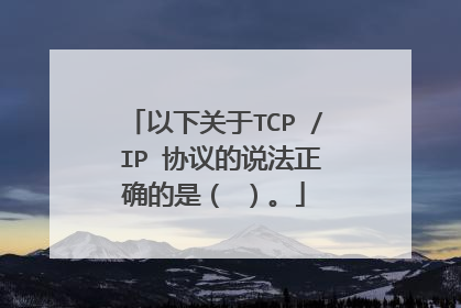 以下关于TCP / IP 协议的说法正确的是（ ）。
