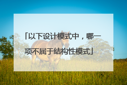 以下设计模式中，哪一项不属于结构性模式