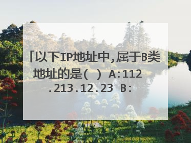 以下IP地址中,属于B类地址的是( ) A:112.213.12.23 B:210.123.23.12 C:23.123.213.23 D:156.123.32.12