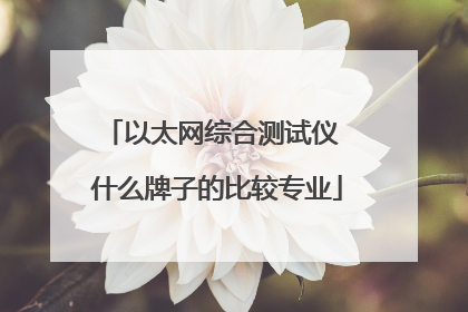 以太网综合测试仪 什么牌子的比较专业