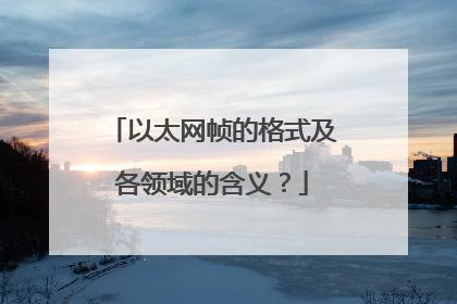 以太网帧的格式及各领域的含义？
