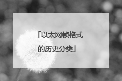 以太网帧格式的历史分类