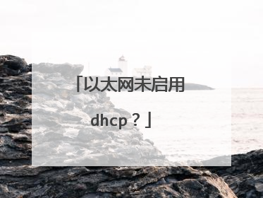 以太网未启用dhcp?