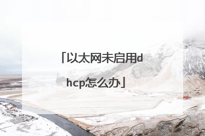 以太网未启用dhcp怎么办