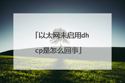 以太网未启用dhcp是怎么回事