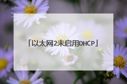 以太网2未启用DHCP