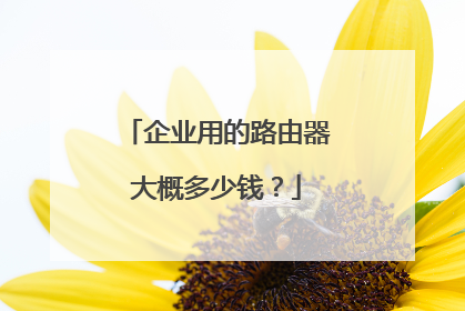 企业用的路由器大概多少钱？