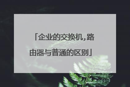 企业的交换机,路由器与普通的区别
