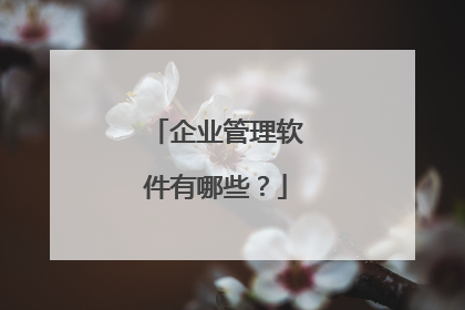 企业管理软件有哪些?