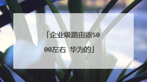 企业级路由器5000左右 华为的