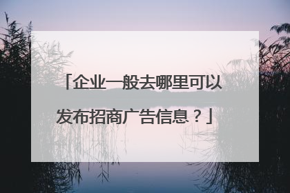 企业一般去哪里可以发布招商广告信息?
