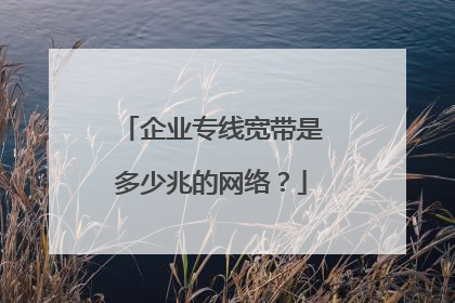 企业专线宽带是多少兆的网络？
