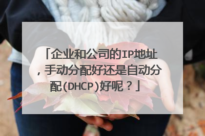 企业和公司的IP地址,手动分配好还是自动分配(DHCP)好呢?