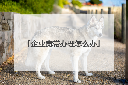 企业宽带办理怎么办