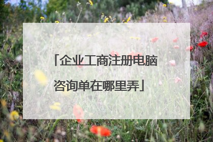 企业工商注册电脑咨询单在哪里弄