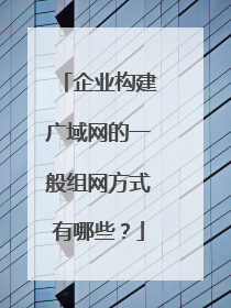 企业构建广域网的一般组网方式有哪些?