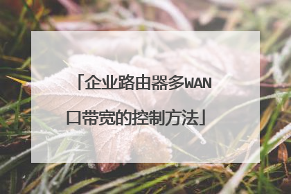 企业路由器多WAN口带宽的控制方法