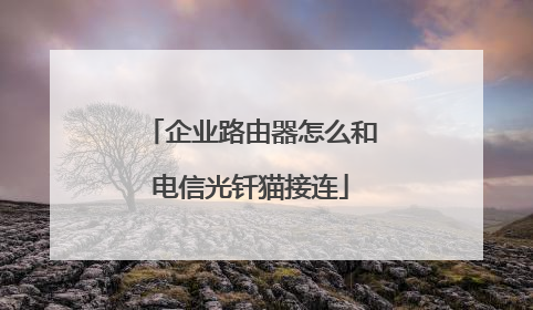企业路由器怎么和电信光钎猫接连