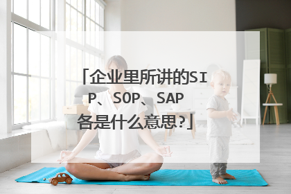 企业里所讲的SIP、SOP、SAP各是什么意思?