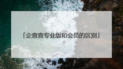 企查查专业版和会员的区别