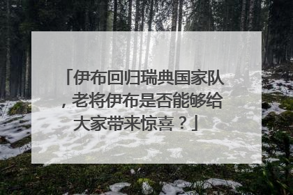 伊布回归瑞典国家队，老将伊布是否能够给大家带来惊喜？