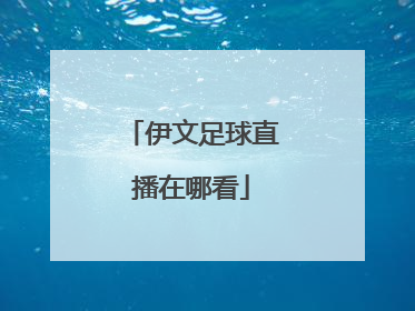 伊文足球直播在哪看