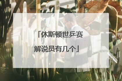 休斯顿世乒赛解说员有几个