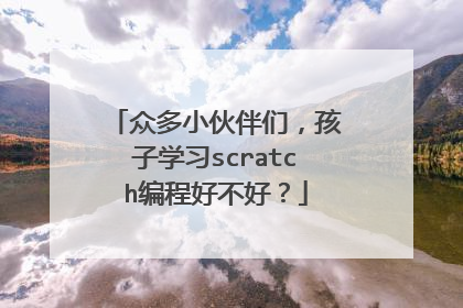 众多小伙伴们,孩子学习scratch编程好不好?