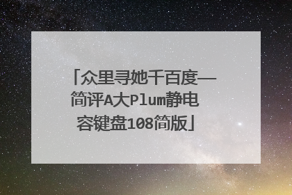 众里寻她千百度——简评A大Plum静电容键盘108简版