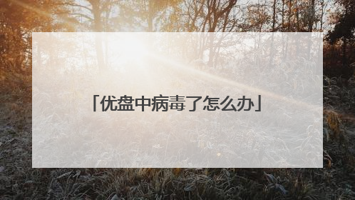 优盘中病毒了怎么办