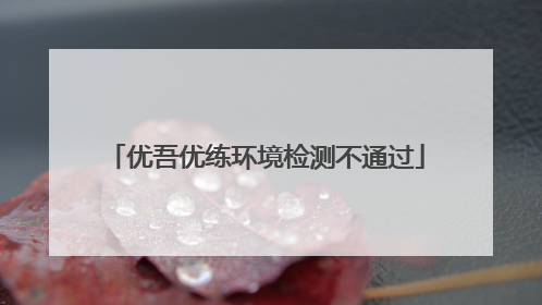 优吾优练环境检测不通过