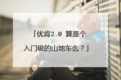 优肯2.0 算是个入门级的山地车么?
