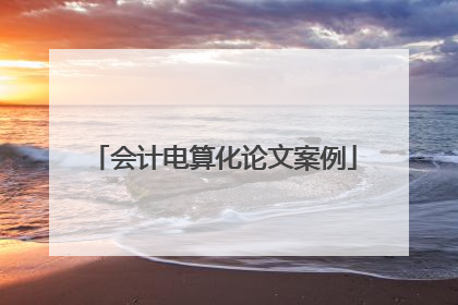 会计电算化论文案例