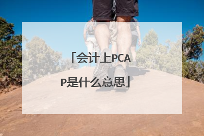 会计上PCAP是什么意思