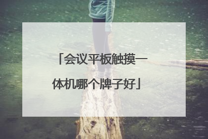 会议平板触摸一体机哪个牌子好