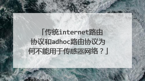 传统internet路由协议和adhoc路由协议为何不能用于传感器网络?