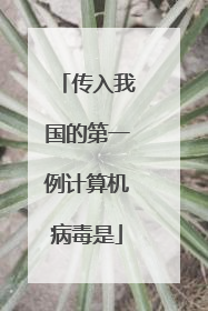 传入我国的第一例计算机病毒是