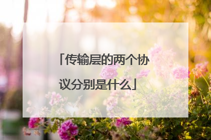 传输层的两个协议分别是什么