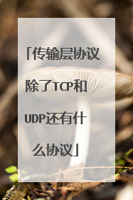 传输层协议除了TCP和UDP还有什么协议