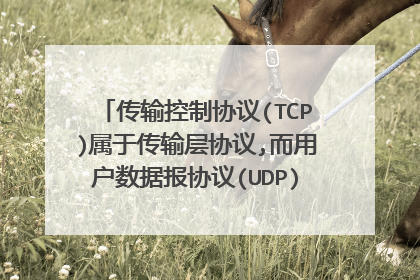 传输控制协议(TCP)属于传输层协议,而用户数据报协议(UDP)属于网络层协议正确吗