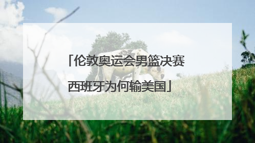 伦敦奥运会男篮决赛西班牙为何输美国