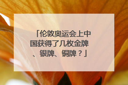 伦敦奥运会上中国获得了几枚金牌、银牌、铜牌?