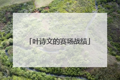 叶诗文的赛场战绩